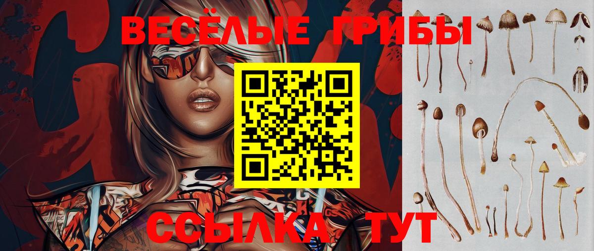 Чебоксары  Галлюциногенные грибы Cubensis  Вход с VPN 